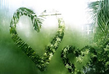 Balvenie价格表大公开烟酒茶党必看30-50元价位推荐清单