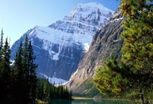 波默尔1982年份酒价格收藏价值与市场趋势全指南