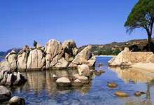 42度枝江9年价格趋势大烟酒茶收藏党必看